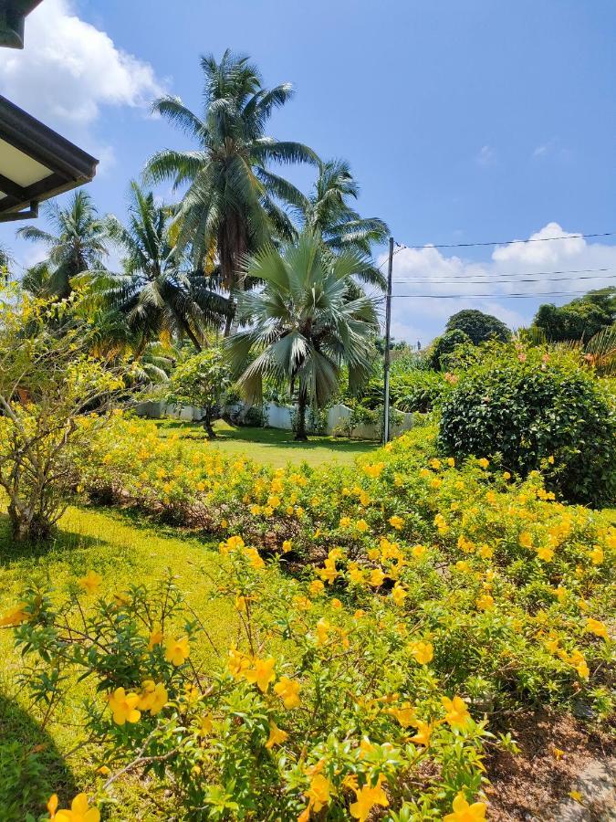 Villa Luana Yuna Au Cap Exterior foto