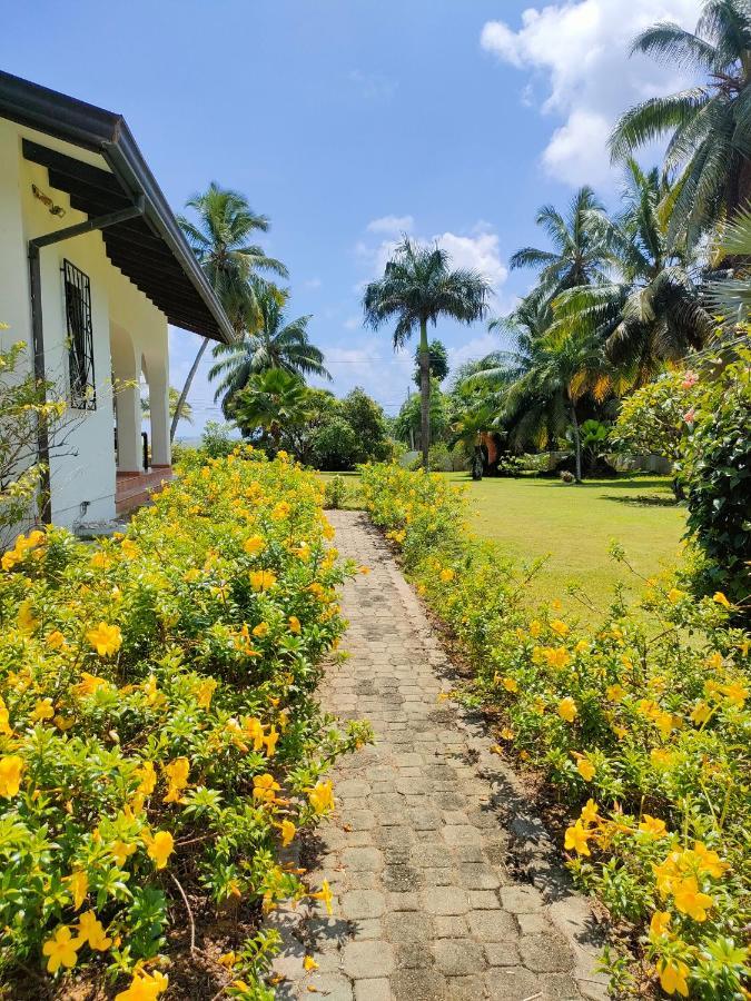 Villa Luana Yuna Au Cap Exterior foto